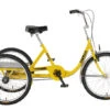 Atlas Cargo Trike 2 Atlas Cargo Trike -Bicycle Promotion Shop sun bicycles atlas cargo trike 46373 12