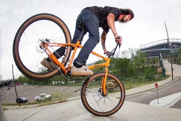 Surly Lowside 13 Surly Lowside - Image 11